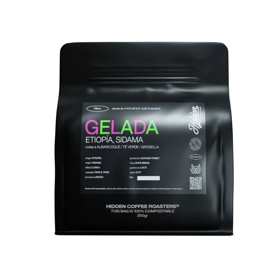 Gelada - Etiopía
